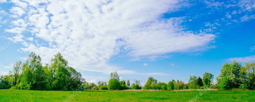 Spring or summer landscape. Field and green forest against a blue sky with clouds