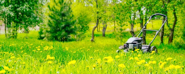 花园绿色草坪上的汽油割草机 — 图库照片