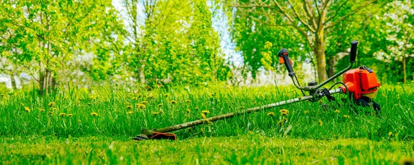 Bensiini Trimmeri Vihreällä Nurmikolla Puutarhassa — kuvapankkivalokuva