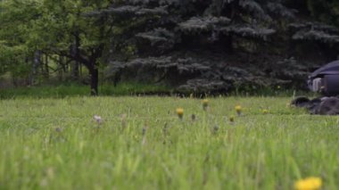 Bir bahçıvan çim biçme makinesiyle bahçesindeki çimleri biçiyor.