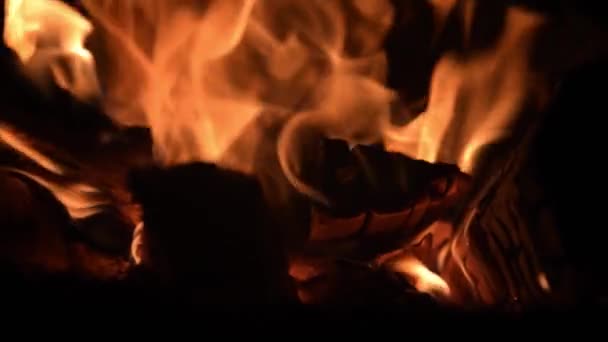 Hout branden in de kachel close-up — Stockvideo