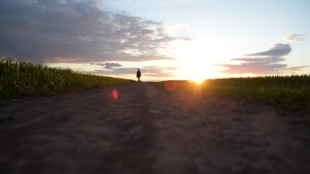 Une jeune fille marche au loin sur une route rurale dans le contexte du coucher du soleil — Video