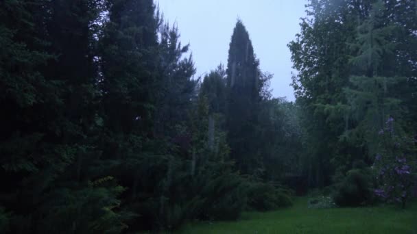 Капли сильного дождя на фоне декоративного сада — стоковое видео