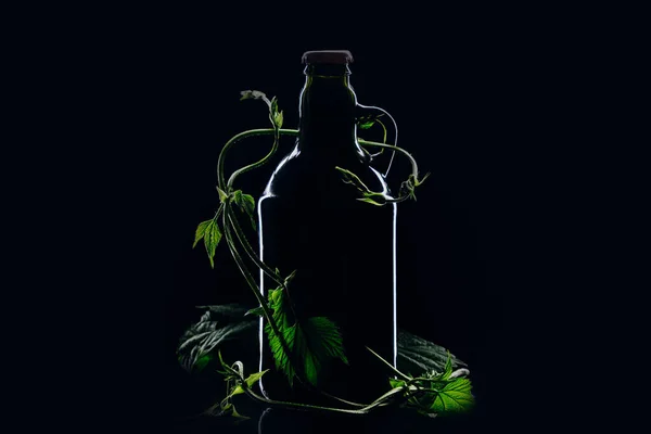 Bottle Beer Hop Shoots Dark Background — Stock Photo, Image