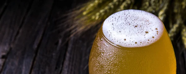 Cerveja Leve Copo Orelhas Trigo Fundo Escuro — Fotografia de Stock