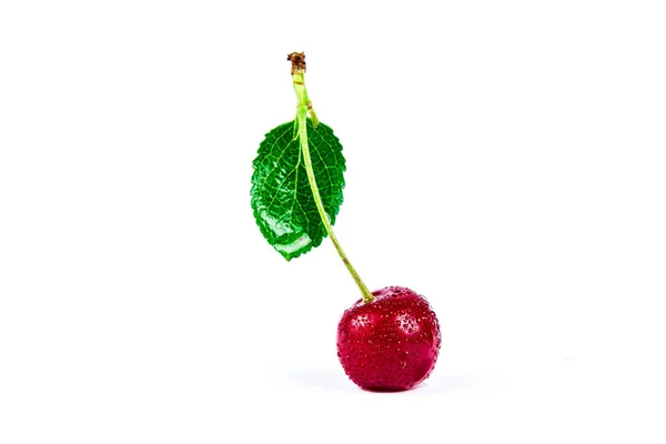Cherry Berry Dengan Daun Hijau Dalam Air Tetes Terisolasi Pada Stok Gambar