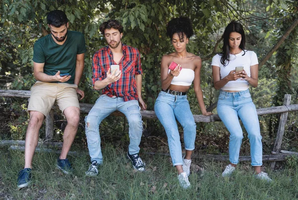 Kırsalda Akıllı Telefonları Kullanan Bir Grup Irklar Arası Arkadaş Açık — Stok fotoğraf
