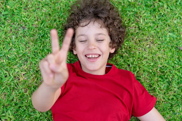 笑顔の男の子が草の上に横たわって笑顔と彼の指で勝利のサインのためのVを作る 自然と肯定的な感情のライフスタイルの概念を楽しんでいる子供 — ストック写真