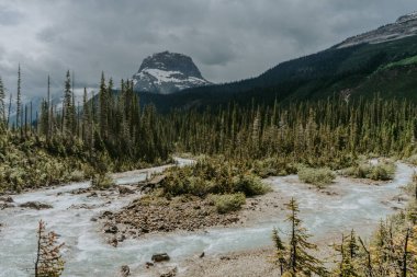 Yoho Ulusal Parkı 'nda Takakkaw Şelaleleri, British Columbia, Kanada' da popüler turizm merkezi