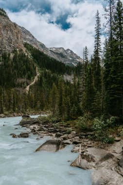 Yoho Ulusal Parkı 'nda Takakkaw Şelaleleri, British Columbia, Kanada' da popüler turizm merkezi