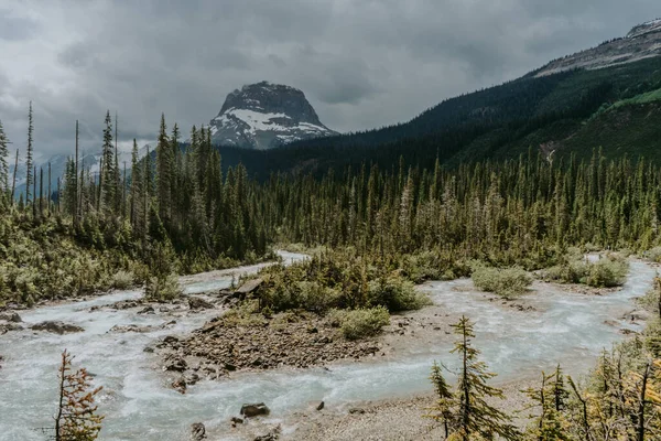 Takakkaw Fälle Yoho Nationalpark Beliebte Touristenattraktion British Columbia Kanada — Stockfoto