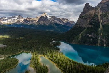 Ohara Gölü ve Marry Gölü 'nün ikonik manzara manzarası OPABIN PlaTEAU patikasının zirvesinden, Yoho Ulusal Parkı, British Columbia, Kanada
