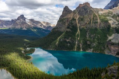 Ohara Gölü ve Marry Gölü 'nün ikonik manzara manzarası OPABIN PlaTEAU patikasının zirvesinden, Yoho Ulusal Parkı, British Columbia, Kanada