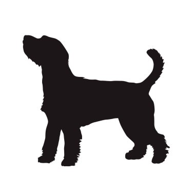 Köpek vektör siluet, Parson Russell Terrier. Yan görünüm