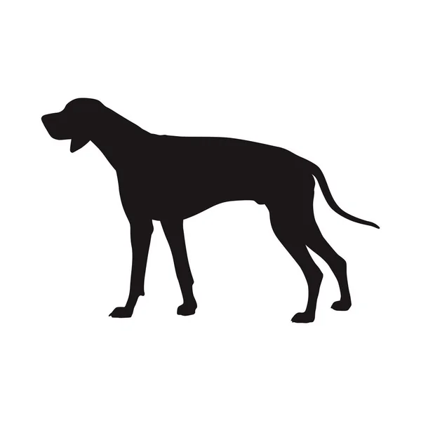 Hundevektorsilhouette Seitenansicht Rhodian Ridgeback Ungarischer Kurzhaarhund — Stockvektor