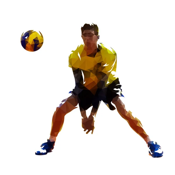 Joueur Volley Ball Illustration Isolée Faible Vecteur Poly Sport Équipe — Image vectorielle