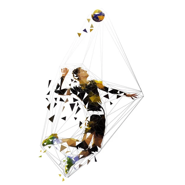 Volleyball Player Serving Ball Polygonal Vector Illustration — Stock Vector