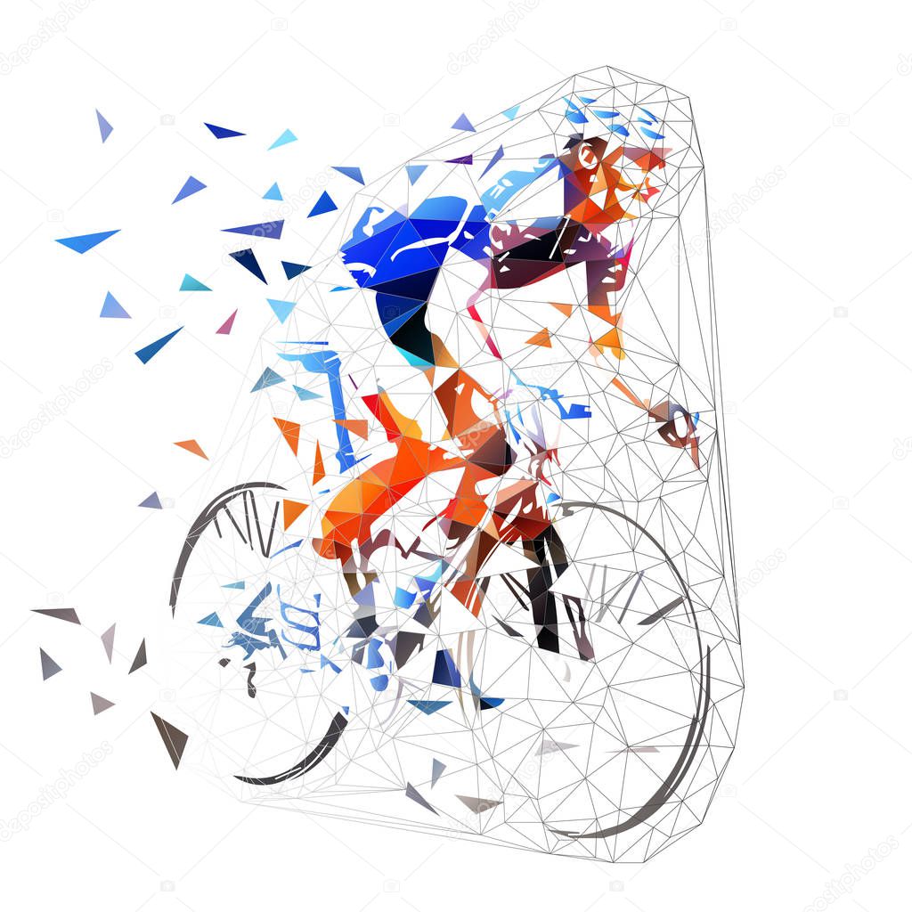 Road cycling, polygonal cyclist in blue jersey riding bike. Low 