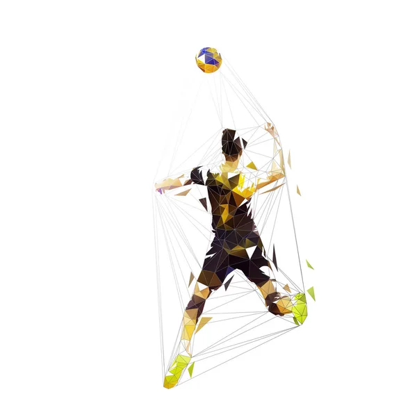 Joueur Volley Ball Fracasse Balle Vecteur Isolé Faible Illustration Polygonale — Image vectorielle