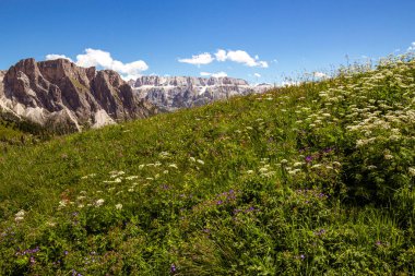 Dolomites UNESCO 'nun Val Gardena (Grden), Güney Tyrol, İtalya' daki Alp Seceda 'daki dağlık alan manzarası Sella ve Puez grubu (Sellagruppe, gruppo del sella)