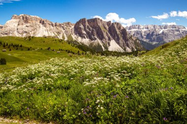 Dolomites UNESCO 'nun Val Gardena (Grden), Güney Tyrol, İtalya' daki Alp Seceda 'daki dağlık alan manzarası Sella ve Puez grubu (Sellagruppe, gruppo del sella)