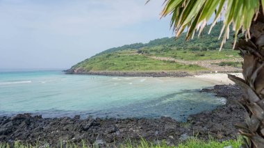 Güzel körfez manzarası, zümrüt su ağacı ve ön planda taşlar ve arka planda yeşil bir dağ olan Güney Kore 'nin Jeju adası.
