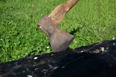 Kömürleşmiş meşe kütüğüne saplanmış ahşap saplı eski bir baltanın yakın çekimi..