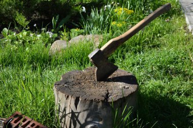 Köy evinin bahçesindeki kütüğe saplanmış ahşap saplı eski bir baltayı kapat.