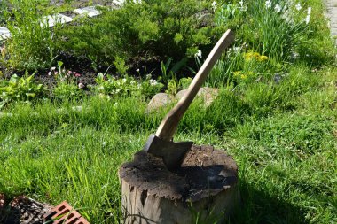 Köy evinin bahçesindeki kütüğe saplanmış ahşap saplı eski bir baltayı kapat.