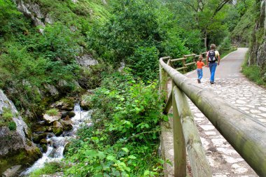 Tepeler ve vadiler boyunca gezmek, Doğal Parkı, Asturias 'ı, İspanya' yı, Avrupa 'yı Yenilemek