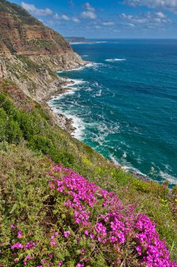Rocky Coast, Walker Körfezi Doğa Koruma Alanı, Gansbaai, Batı Burnu, Atlantik Okyanusu, Güney Afrika, Afrika
