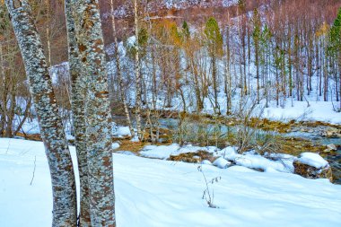 Arazas Nehri, Ordesa Vadisi, Ordesa y Monte Perdido Ulusal Parkı, Ordesa Vinamala UNESCO Biyosfer Rezervi, Pyrennes, Huesca, Aragon, İspanya, Avrupa