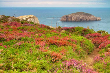 Cabo de Penas 'ın Korunan Bölgesi, Asturias Prensliği, Asturias, İspanya, Avrupa