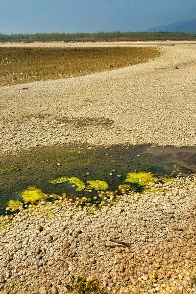 Mokřady Národní Park Royal Bardia Národní Park Bardiya Nepál Asie — Stock fotografie