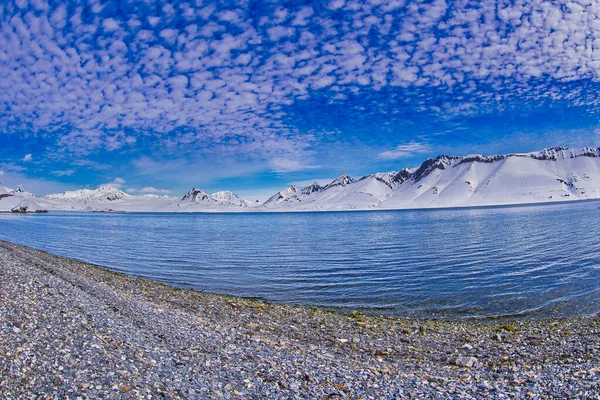 Χιονισμένα Βουνά Κόλπος Trygghamna Oscar Αρκτική Spitsbergen Svalbard Νορβηγία Ευρώπη — Φωτογραφία Αρχείου