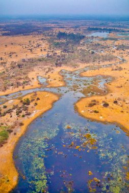 Aerial view, Okavango Wetlands, Okavango Wasslands, Okavango Delta, UNESCO World Heritage Site, Ramsar Wetland, Botswana, Afrika