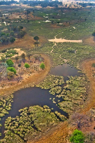 Vista Aérea Okavango Wetlands Okavango Grasslands Okavango Delta Património Mundial — Fotografia de Stock