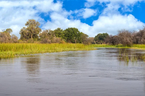 Okavango Mokřady Krajina Okavango Delta Unesco Světového Dědictví Ramsar Mokřady — Stock fotografie