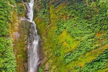 Şelale, Annapurna Ana Kampı, Annapurna Koruma Alanı, Himalaya, Nepal, Asya
