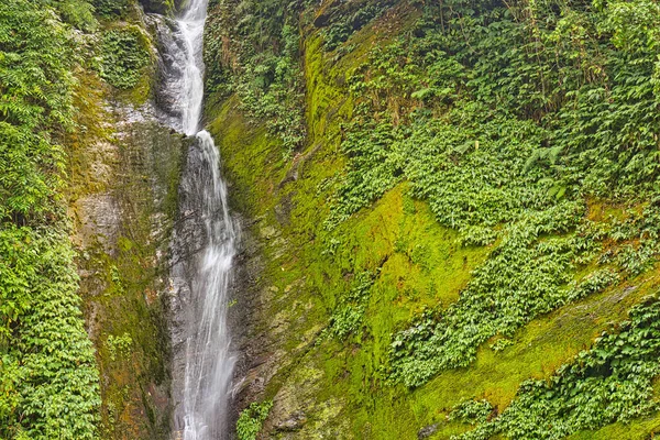 Waterfall Trek Annapurna Base Camp Annapurna Conservation Area Himalaya Nepal — Stock Photo, Image