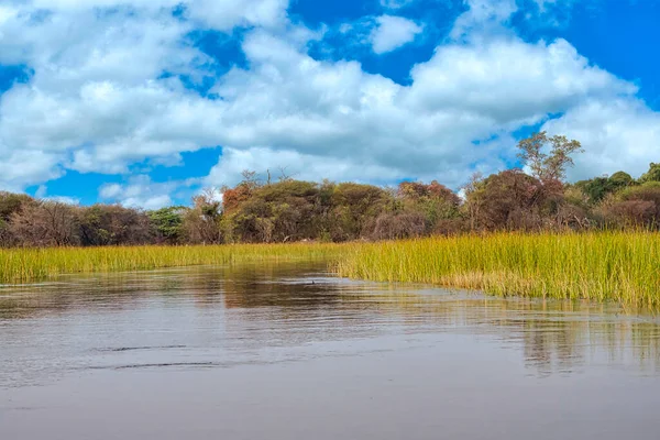 Okavango Wetlands Okavango Delta Unesco World Heritage Site Ramsar Wetland — 스톡 사진