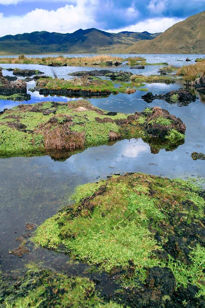 ラグーン カハス国立公園 草原生態系 ラムサール条約湿地 ハイランド アズアイ州 エクアドル アメリカ — ストック写真