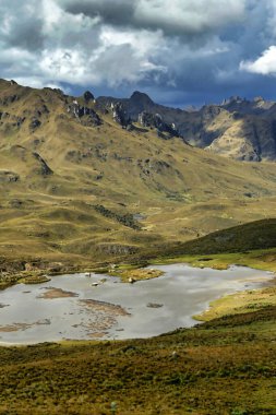Lagoon, El Cajas Ulusal Parkı, Grassland Ekosistemi, Ramsar Wetland, Highlands, Azuay Eyaleti, Ekvador, Amerika 