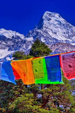 Dua Bayrakları, Annapurna Sıradağları, Annapurna Ana Kampı, Annapurna Koruma Alanı, Himalaya, Nepal, Asya
