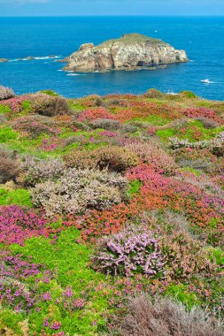 Cabo de Penas 'ın Korunan Bölgesi, Asturias Prensliği, Asturias, İspanya, Avrupa