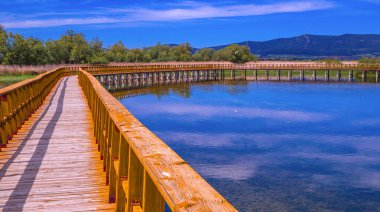 Tablolar Daimiel Ulusal Parkı, Daimiel, Ciudad Real, Castilla La Mancha, İspanya, Avrupa