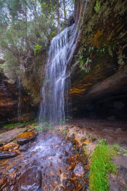 Cueva Serena Sonbahar Mağarası, Sierra de Urbion, Duruelo de la Sierra, Soria, Castilla y Leon, İspanya, Avrupa
