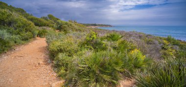 Yürüyen Sahil Yolu, Sierra de Irta Doğal Parkı, Costa de Azahar, Bajo Maestrazgo, Castellon, Comunidad Valenciana, İspanya, Avrupa
