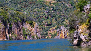 Akdeniz Riverside Ormanı, Arribes del Duero Doğal Parkı, SPA, SAC, Biyosfer Rezervi, Salamanca, Kastilya ve Leon, İspanya, Avrupa