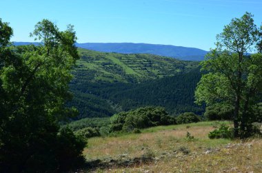Dağda yürüyüş yolu Ormanda yürüyüş yolu, İspanya